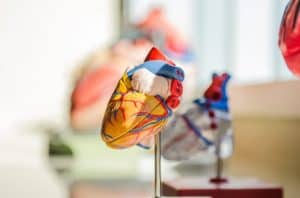 heart 2607178 1280 768x508 1